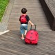 LittleLife Ladybird Suitcase